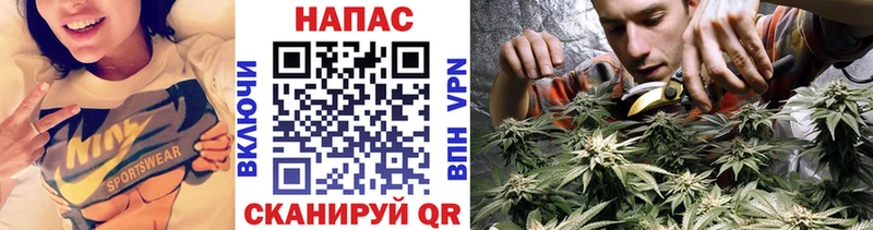 Наркошоп купить ГАШ Конопля Alpha-PVP Галлюциногенные грибы МЕФ Губкин