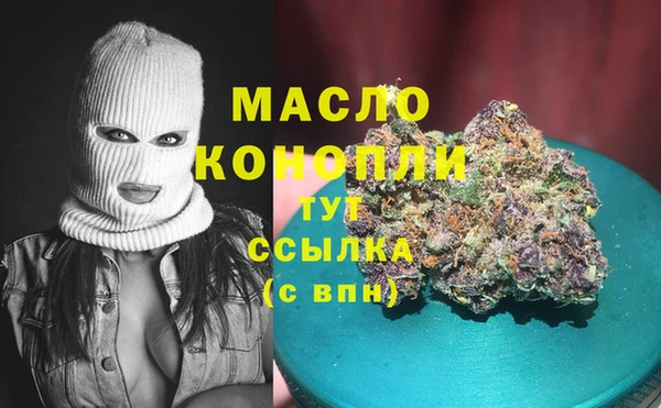 крисы Козловка