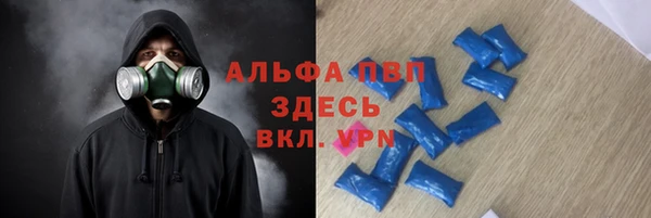 твердый Кодинск