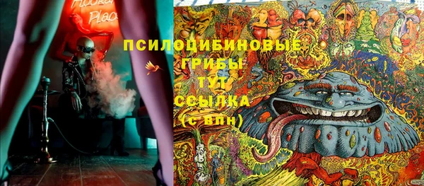твердый Кодинск