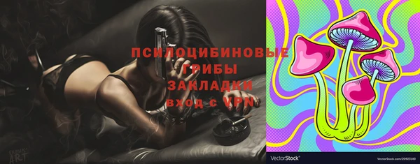 крисы Козловка