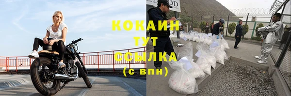 крисы Козловка