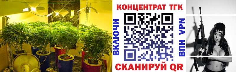 Купить где  Губкин  Дистиллят ТГК гашишное масло 